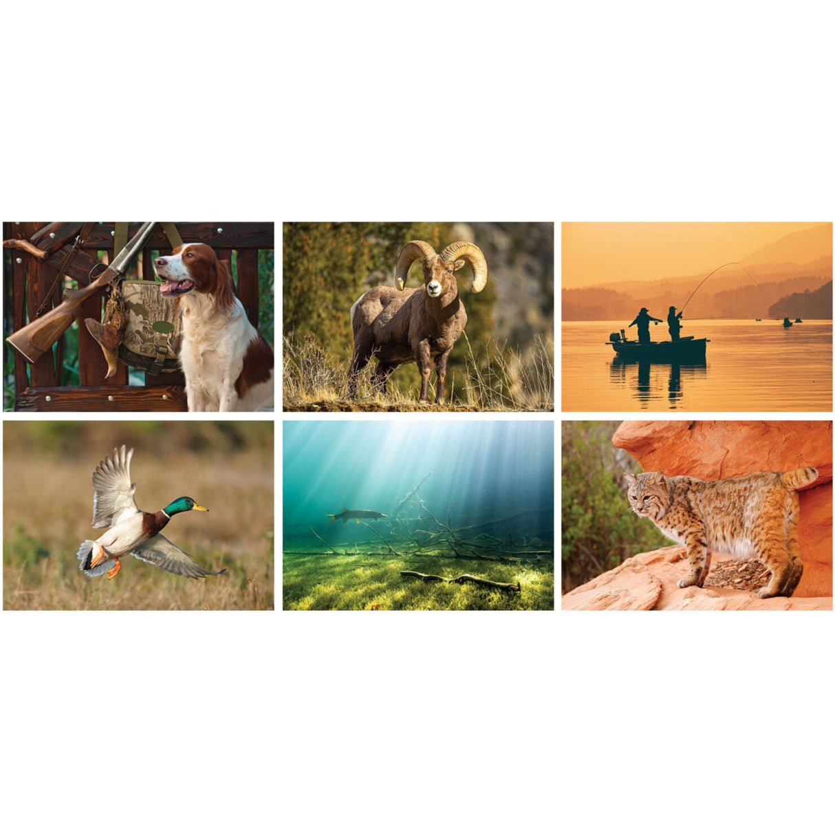 Sportsman Spiral Wall Calendar