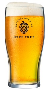 tulip-pilsner-20oz-pallet