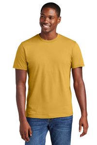 Ochre Yellow Blank