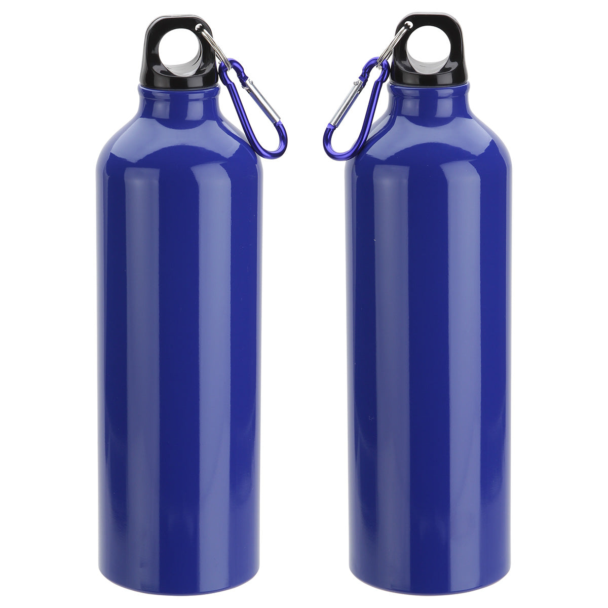 Atrium 25 oz Aluminum Bottle