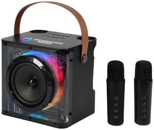 15W Karaoke Wireless Speaker with 2 Mics