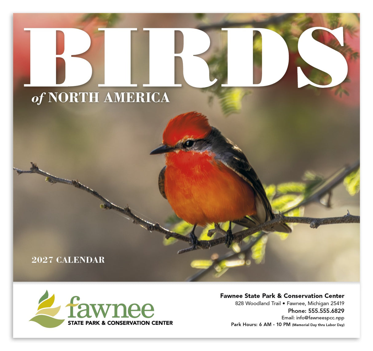 Good Value Birds of North America - Stapled Calendar cover image
