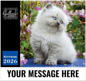 Galleria Wall Calendar 2026 Kittens Calendar