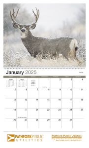 Wildlife Appointment Calendar - Spiral 403_25_3.png