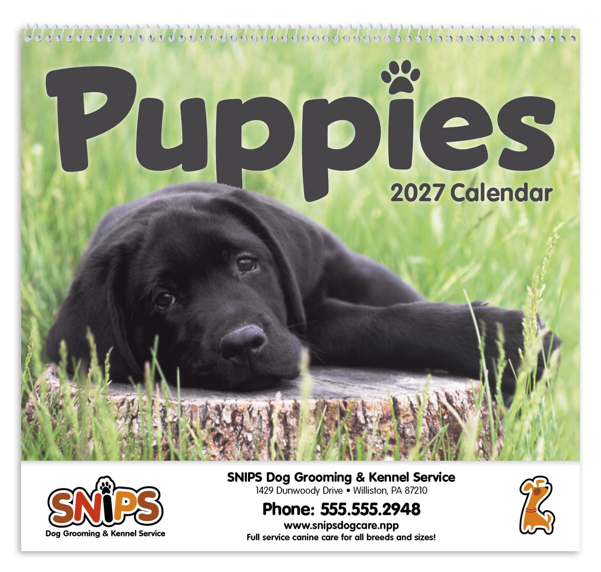 Triumph Calendars Puppies Calendar cover image