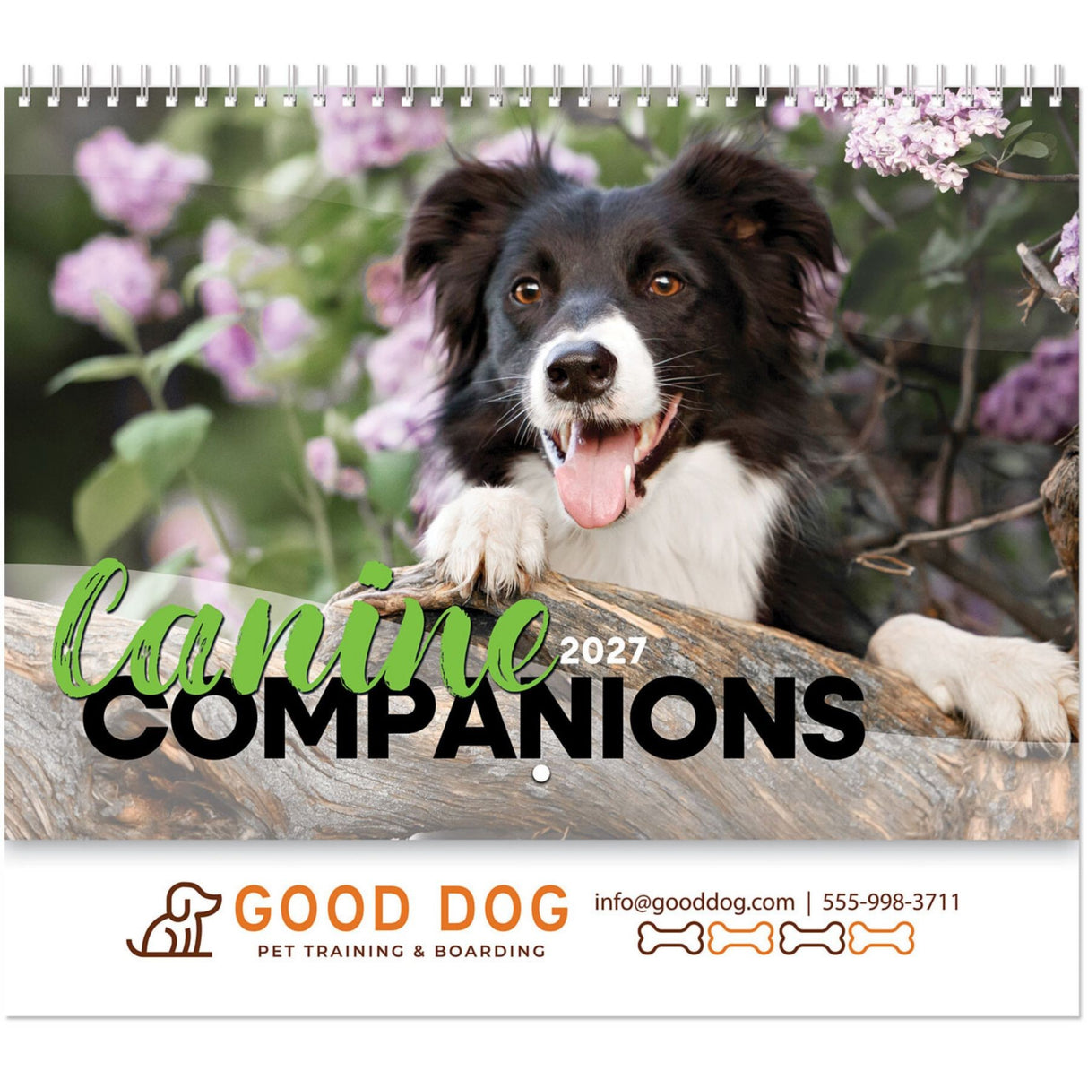 Full Colour Canine Companions Spiral Wall Calendar