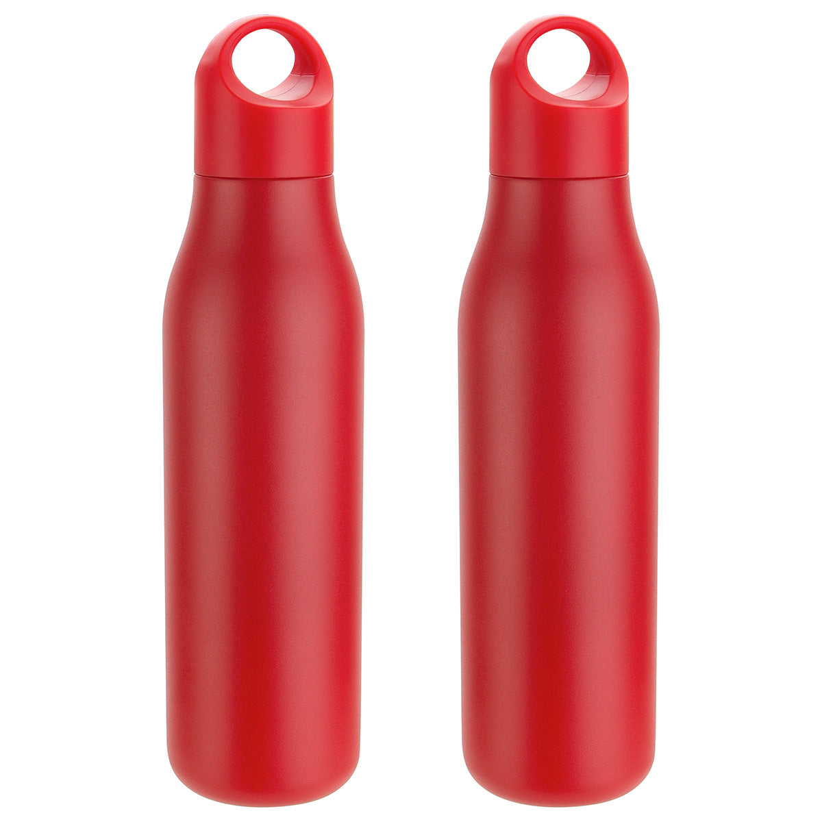 SENSO® Classic 22 oz Vacuum Insulated Stainless Steel Bottle