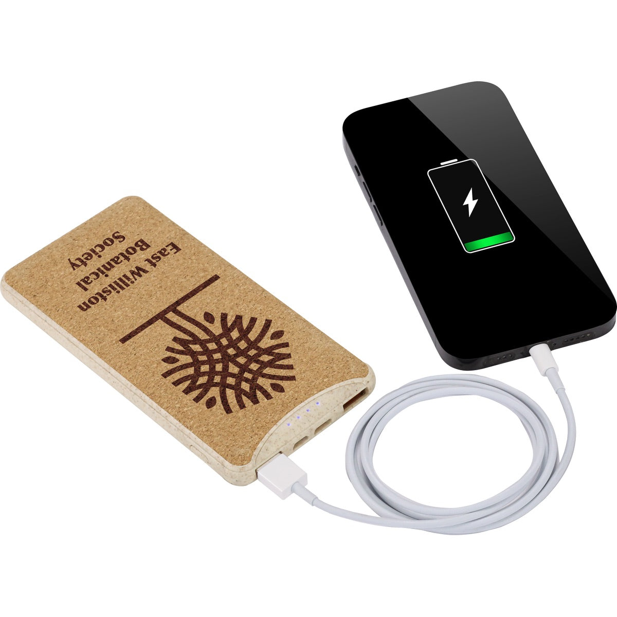 EarthTrendz 8,000 mAh Power Bank