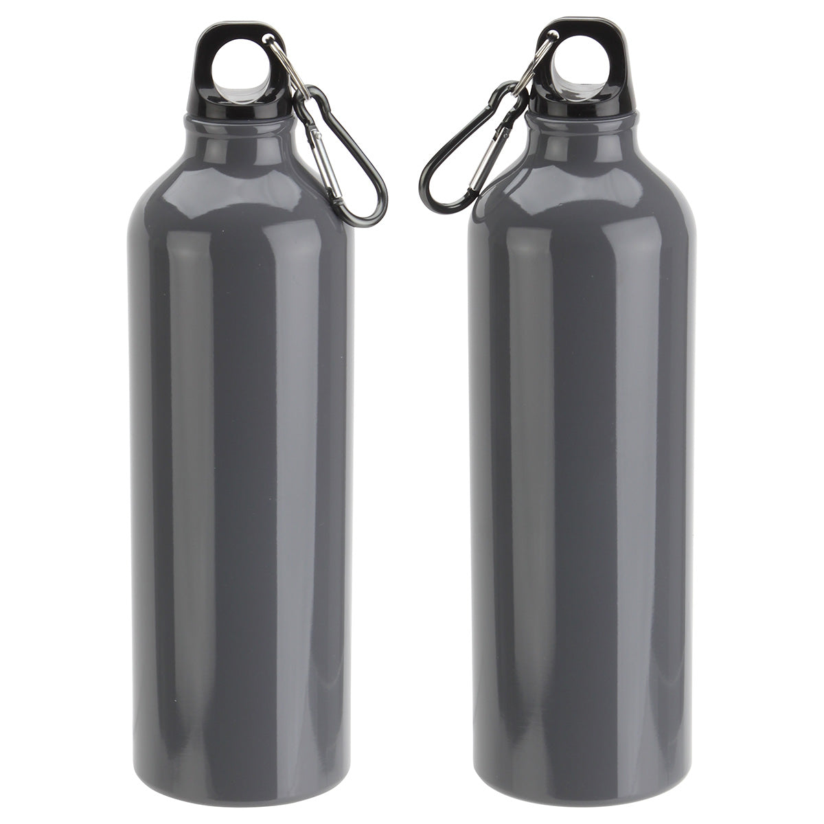 Atrium 25 oz Aluminum Bottle