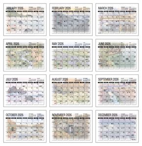 America's Beauty Desk 2026 Calendar