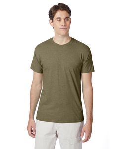 Oregano Heather Blank