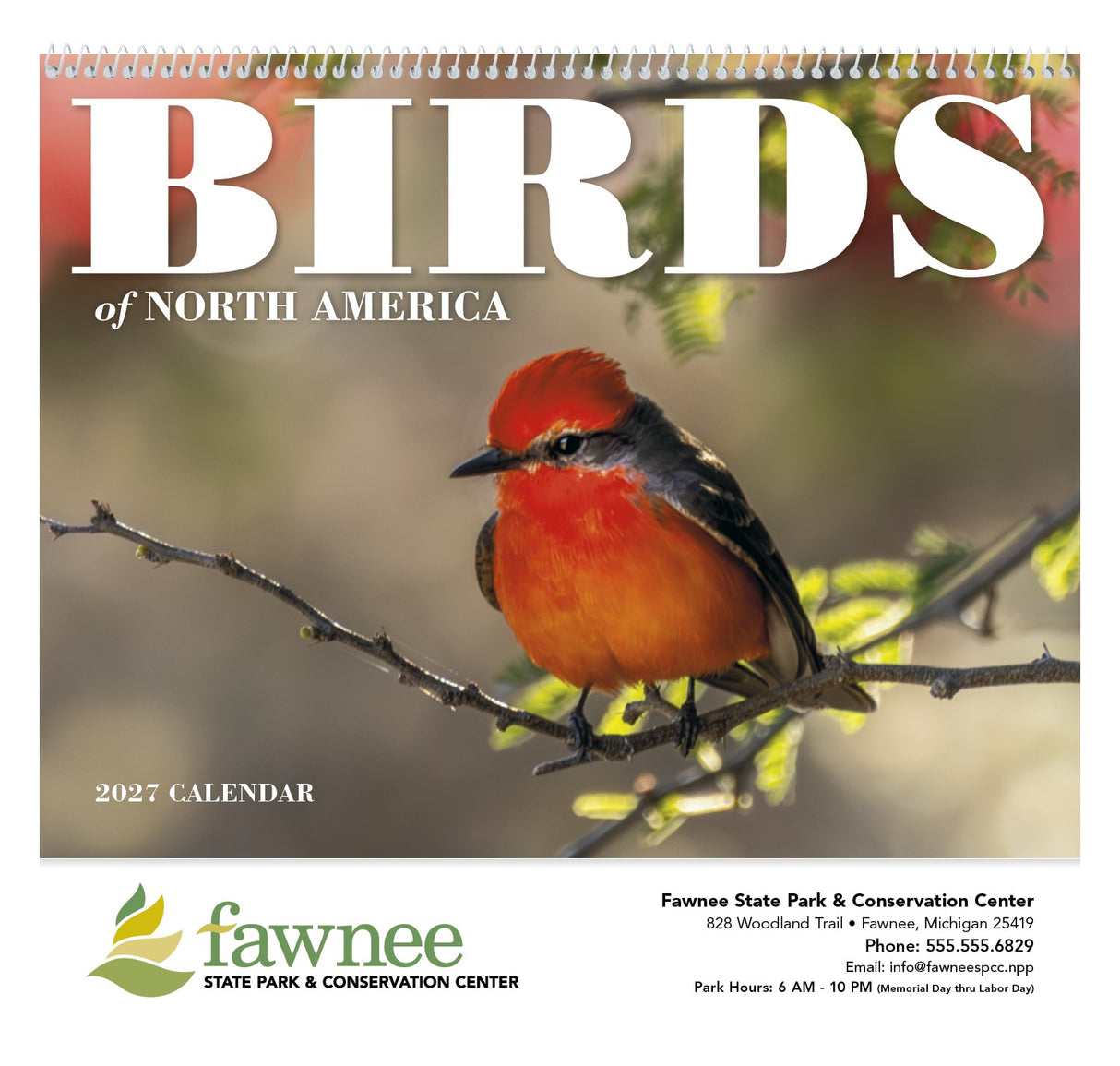 Good Value Birds of North America - Spiral Calendar cover image