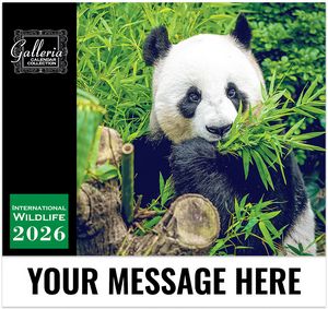Galleria Wall Calendar 2026 International Wildlife