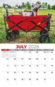 Jul -2026
