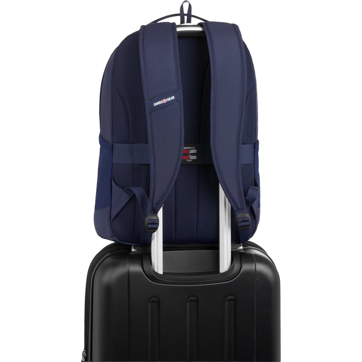 9550-81NYBack