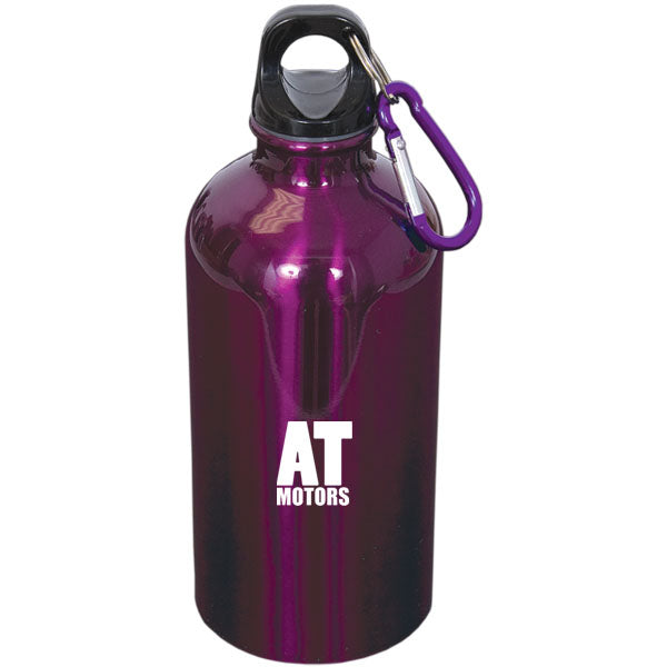 500 Ml (17 Fl. Oz.) Stainless Steel Bottle With Carabiner