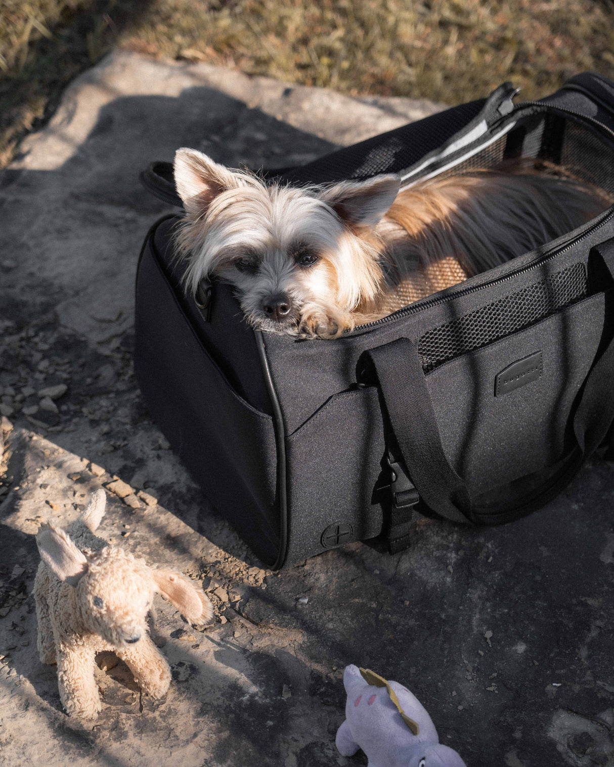 Bugatti Vacilando Pet Carrier Duffle