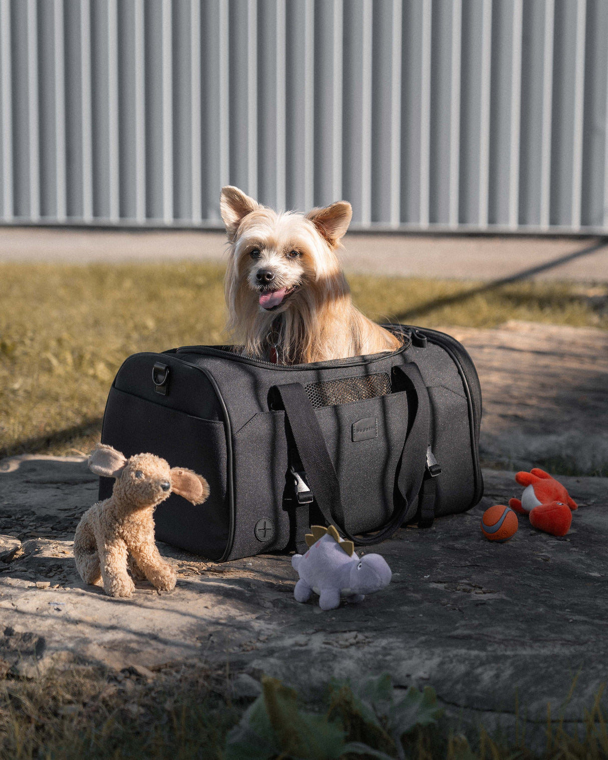 Bugatti Vacilando Pet Carrier Duffle