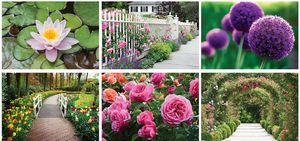 Garden Desk Calendar