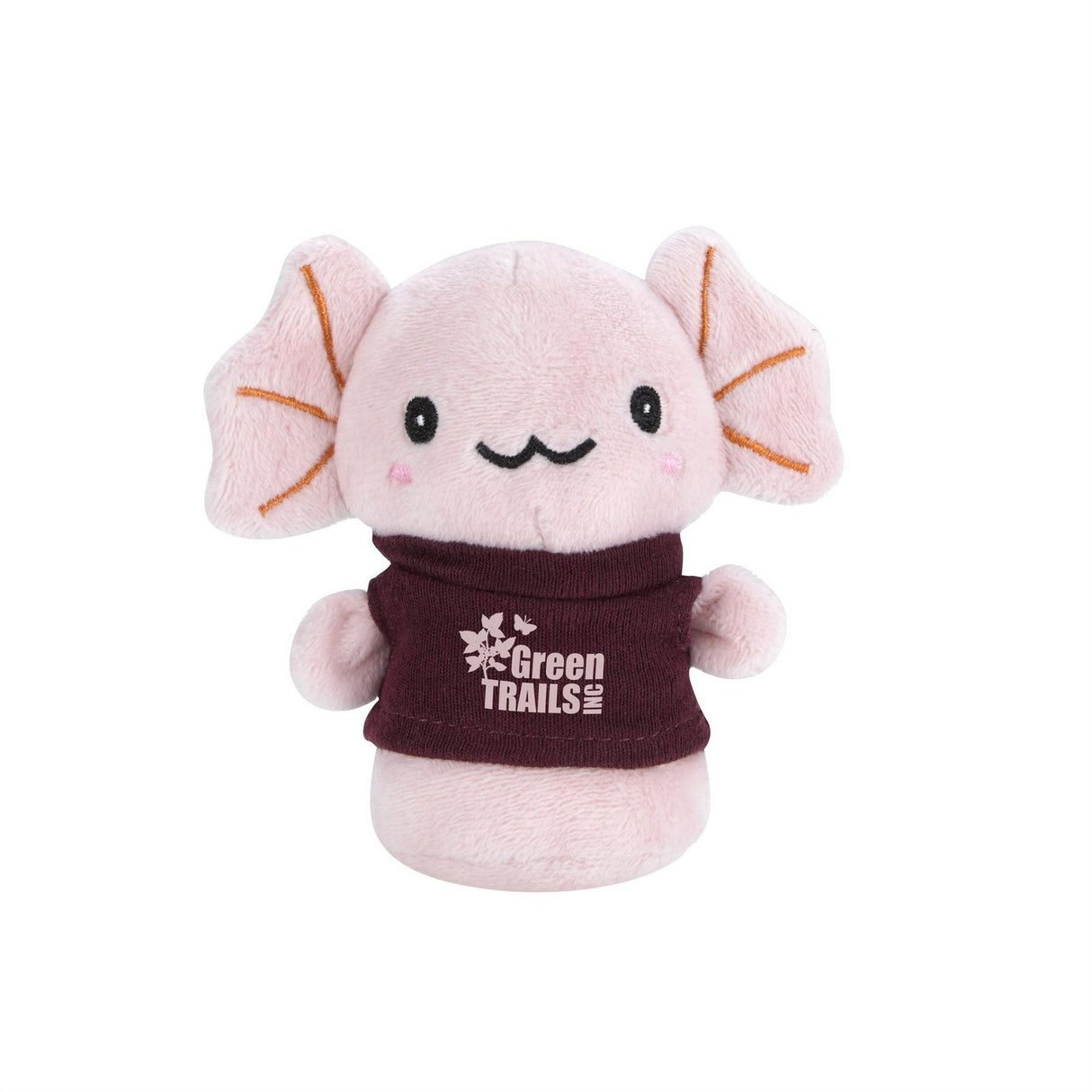 CT838 axolotl image