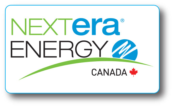 Eco-Friendly BOPP Roll Stickers (2" x 3" Rectangle)