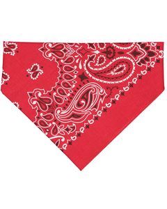 Red Paisley Blank