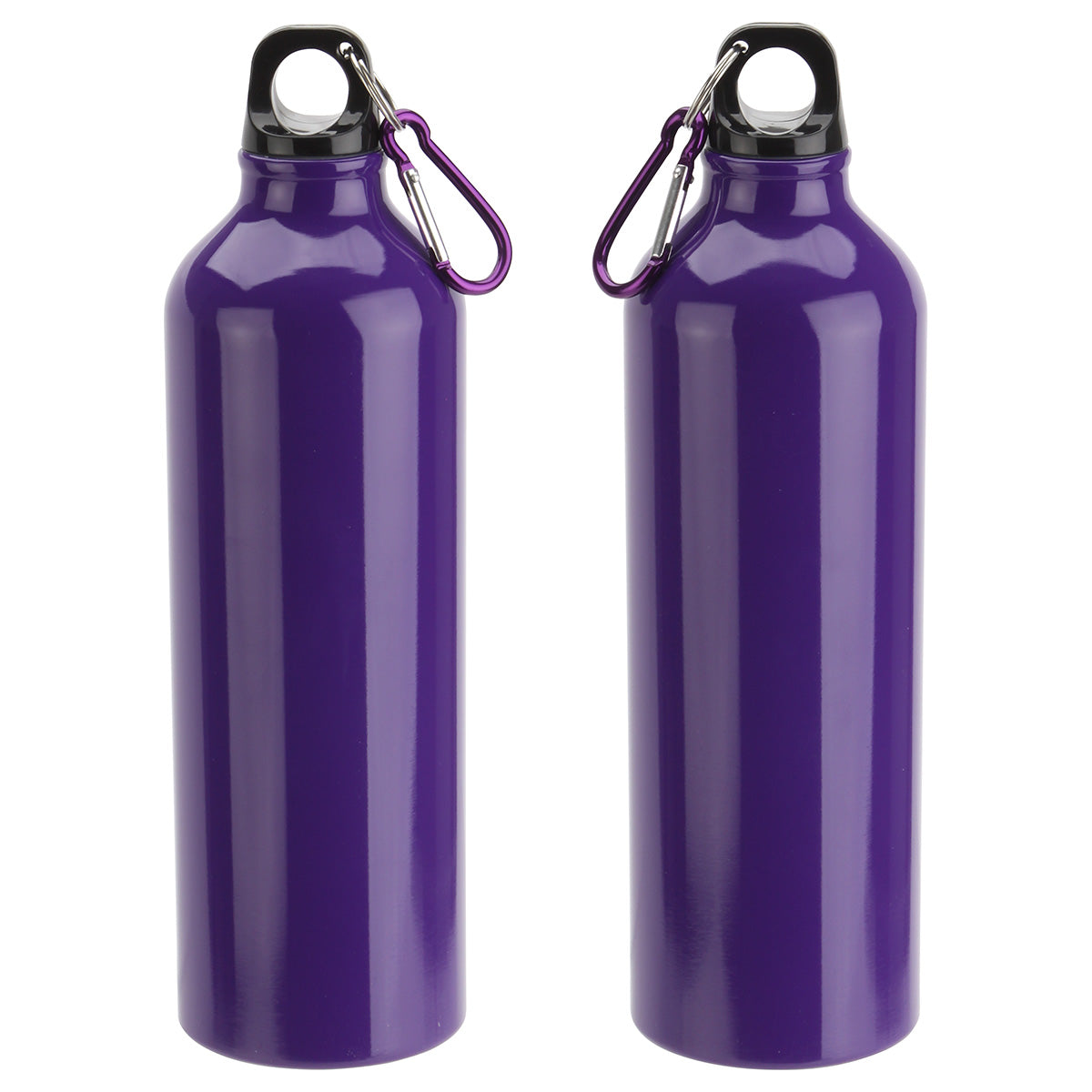 Atrium 25 oz Aluminum Bottle