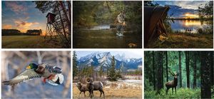 Sportsman Spiral Wall Calendar