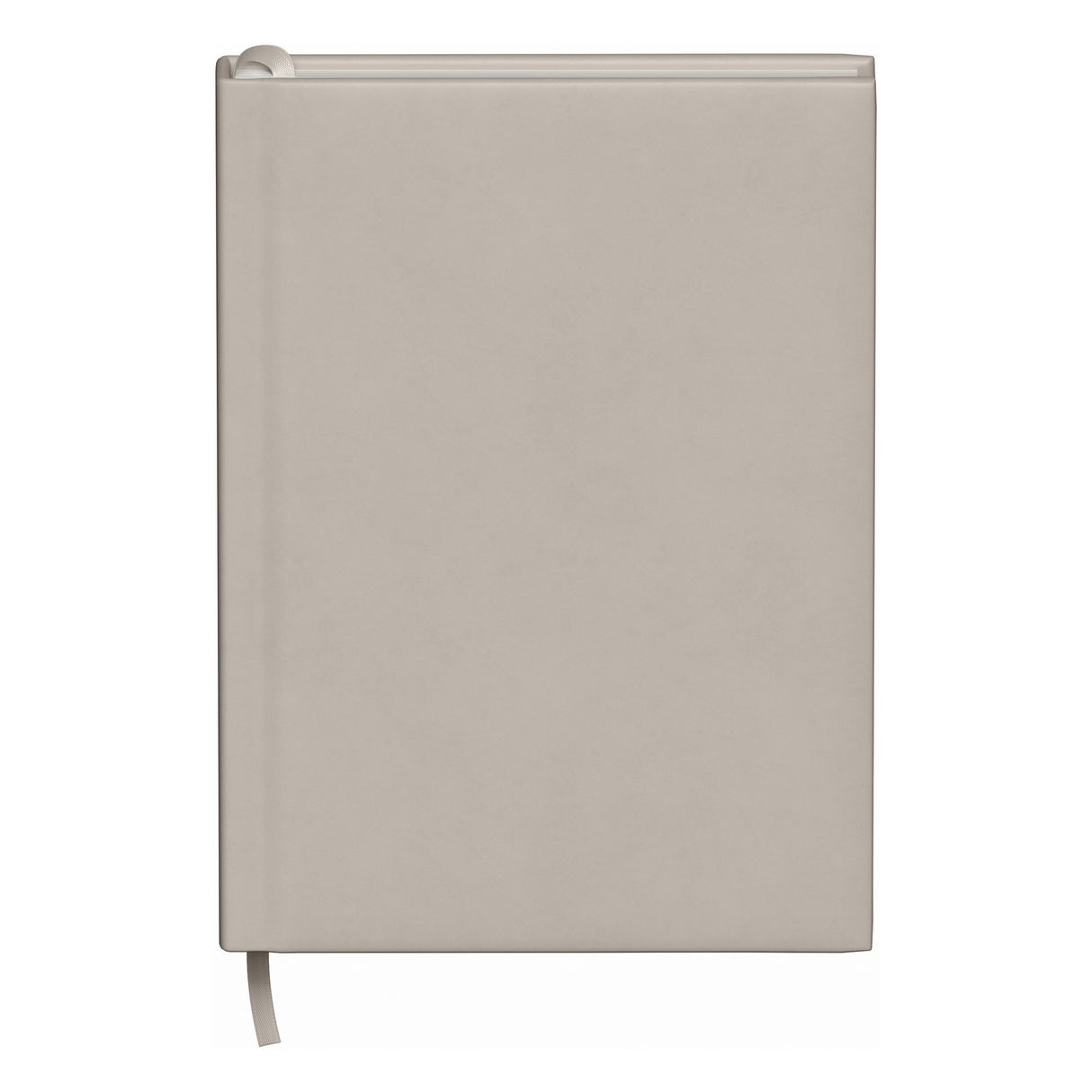 ST4864 BON FRONT blank
