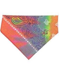 Tye Dye Paisley Blank