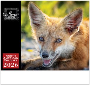 Galleria Wall Calendar 2026 North American Wildlife