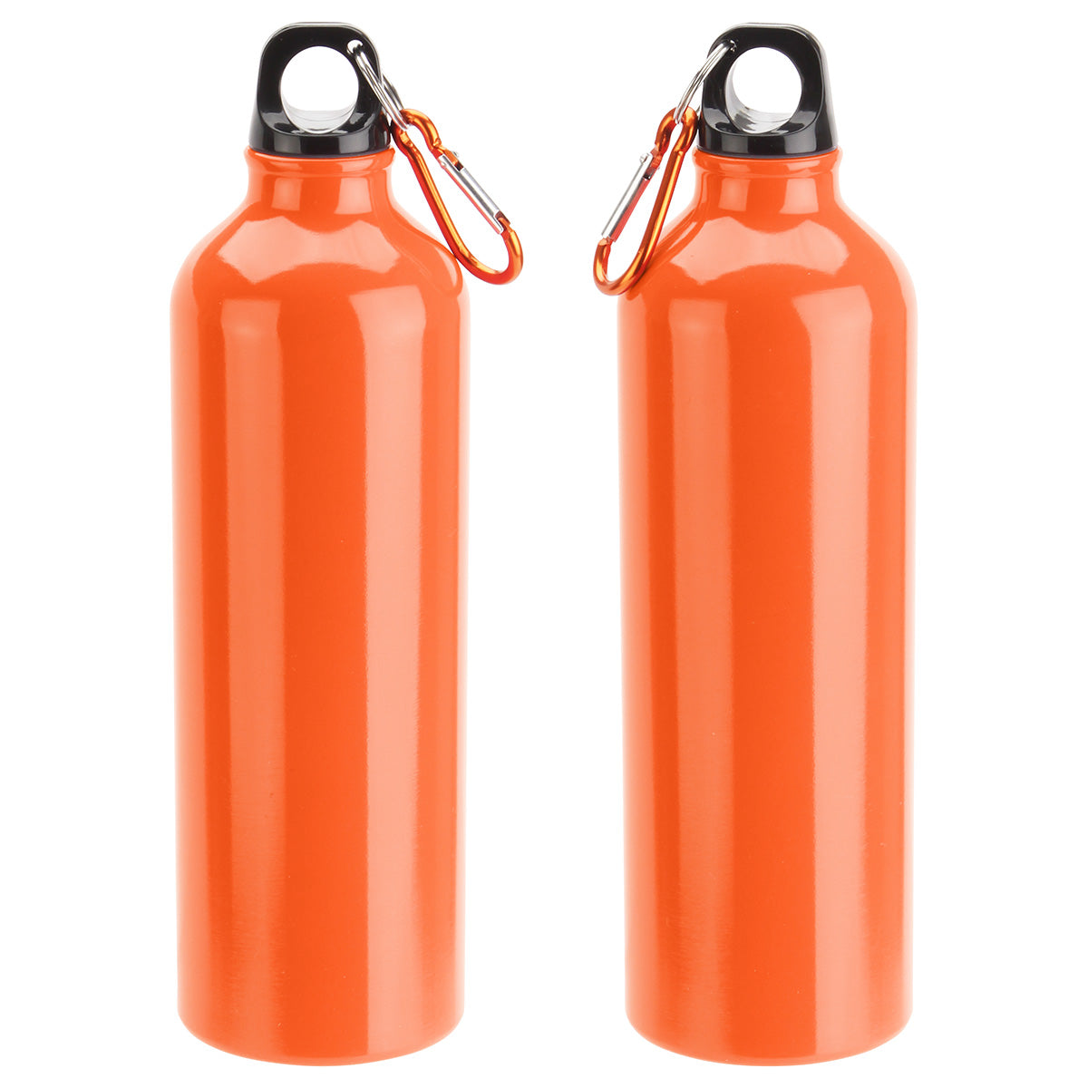 Atrium 25 oz Aluminum Bottle