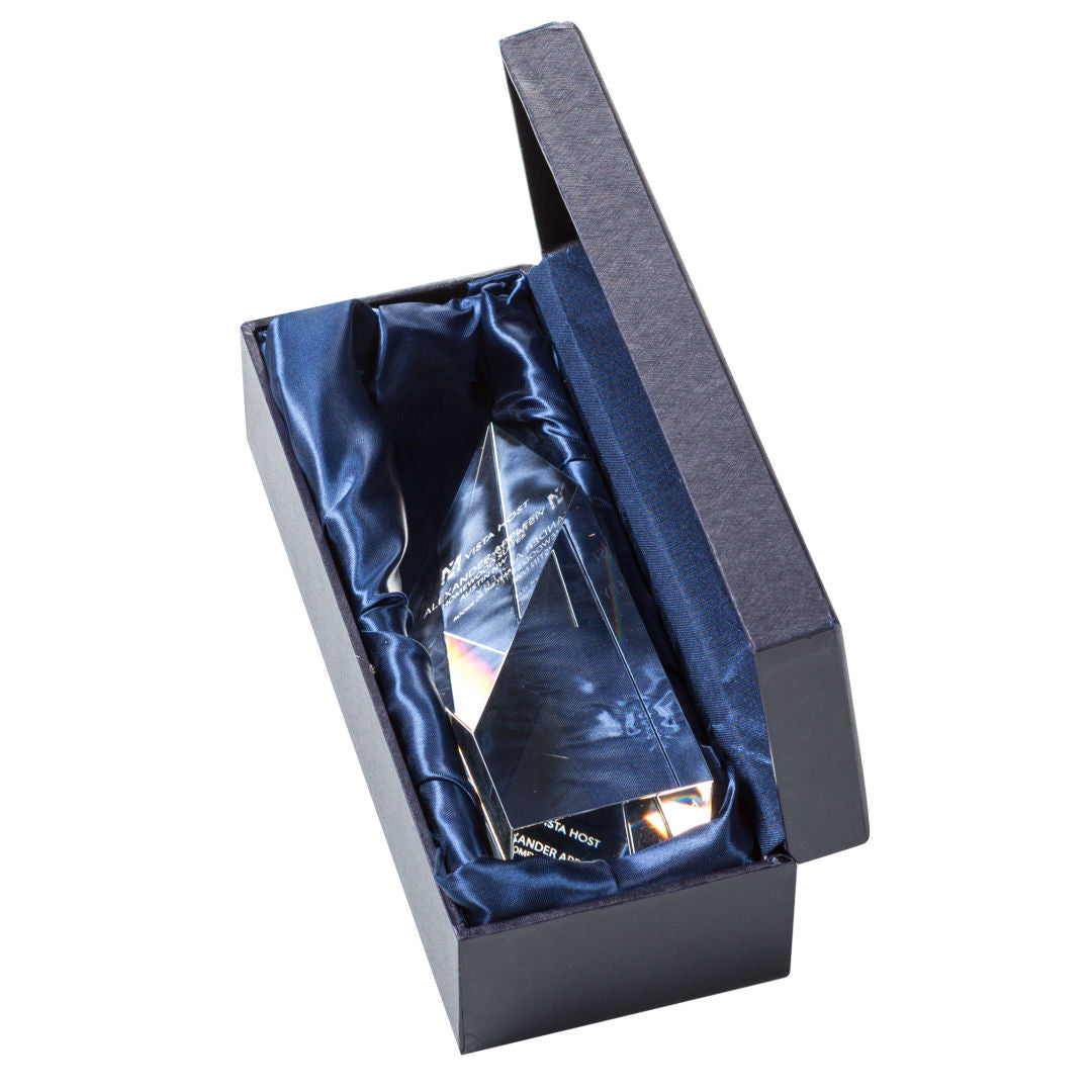Vertex Paperweight