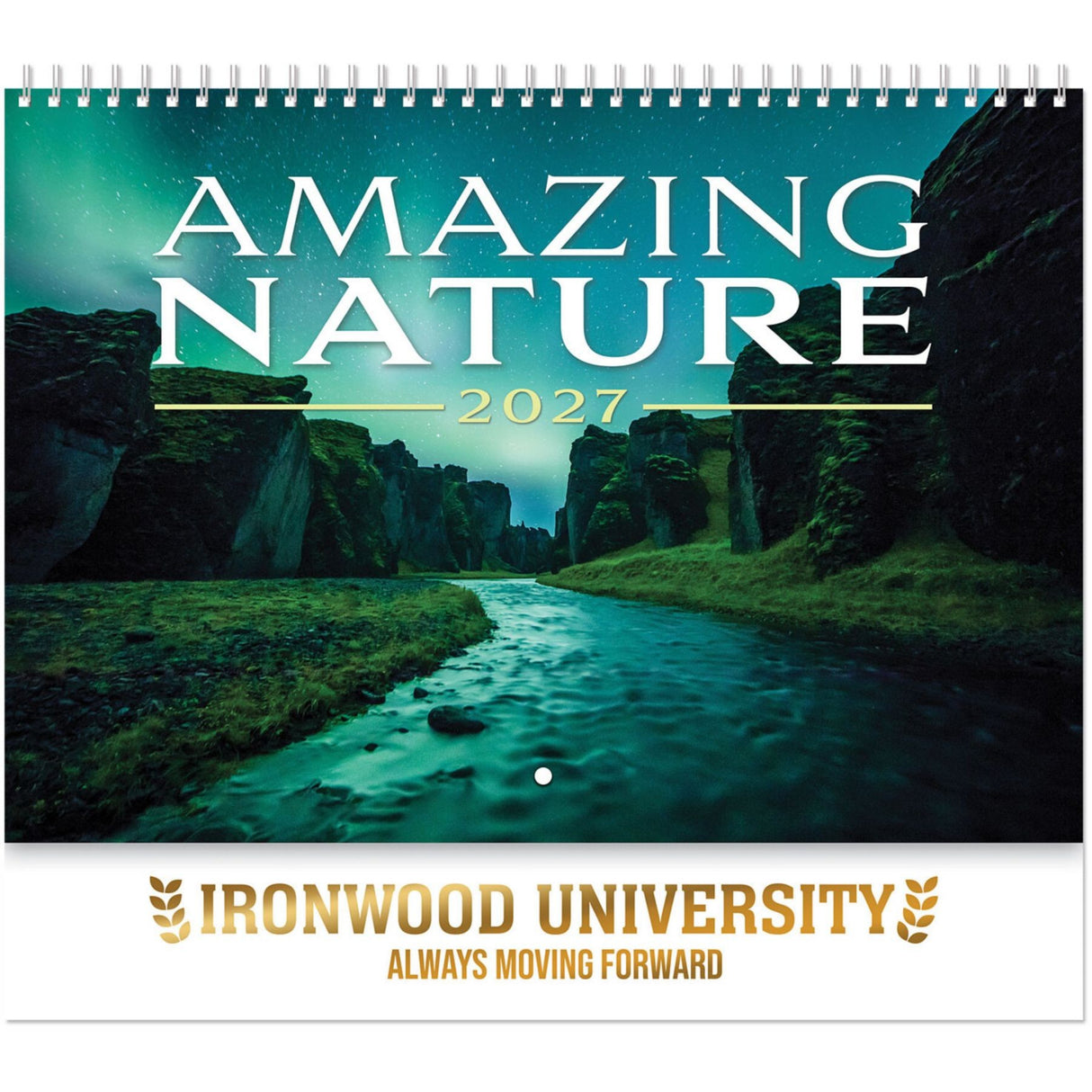 Luxe Gallery Amazing Nature Spiral Wall Calendar