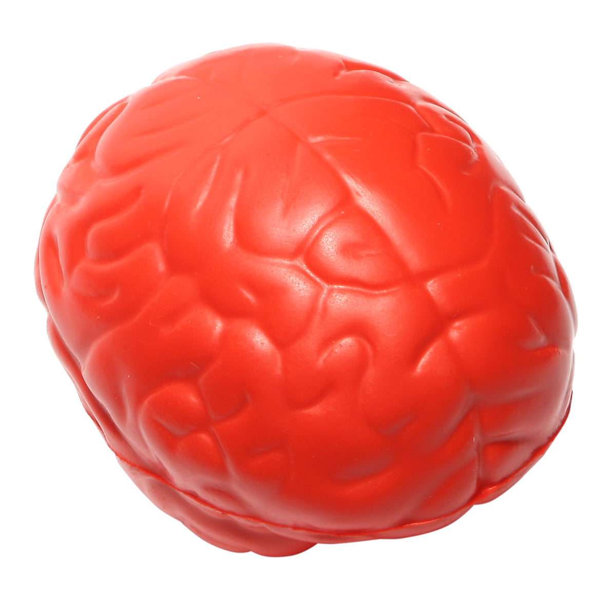 Brain Slo-Release Serenity Squishy™