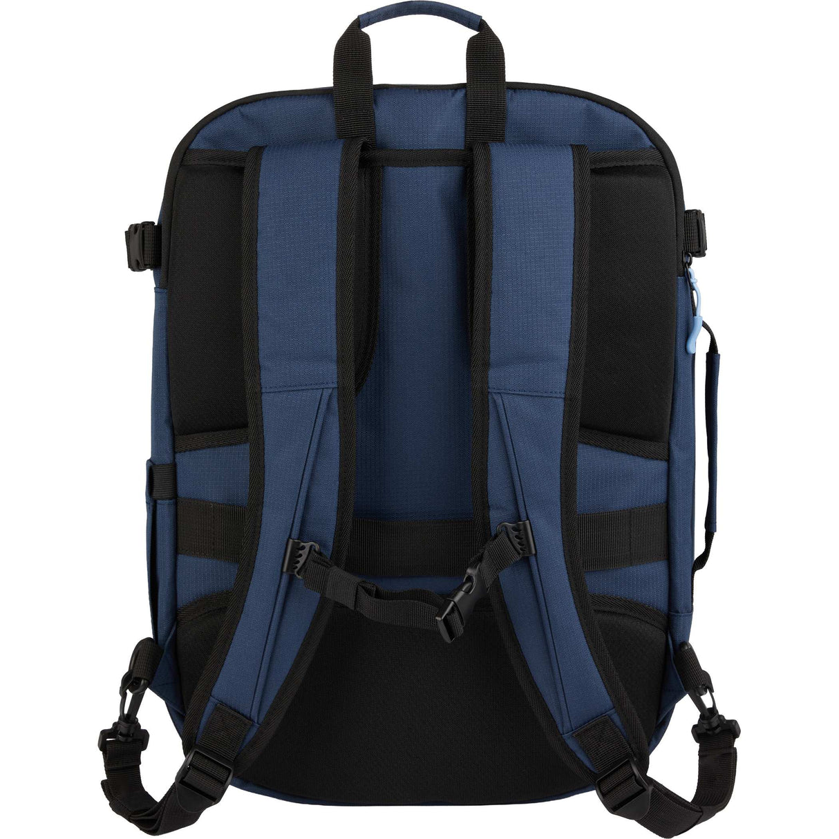 1126-01NYBack