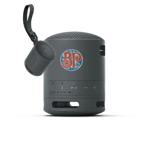 Sony XB100 Portable Wireless Speaker