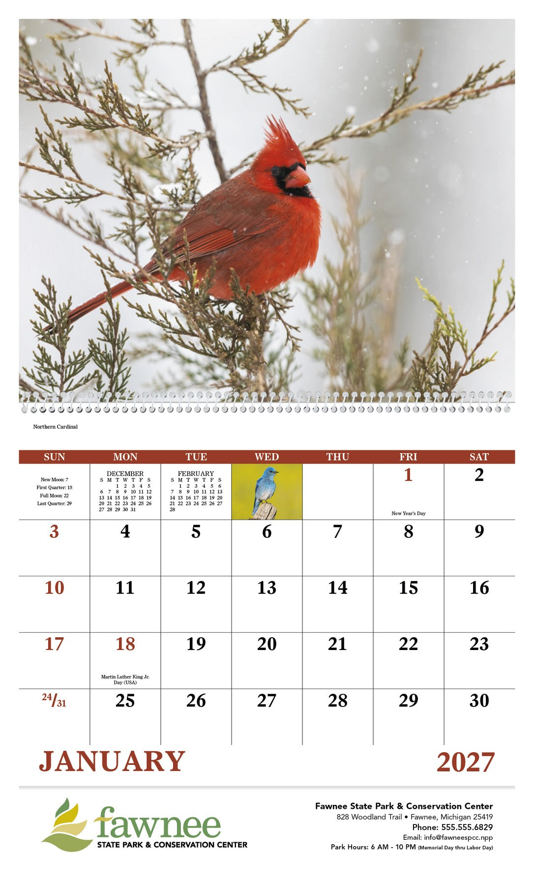 Good Value Birds of North America - Spiral Calendar open image