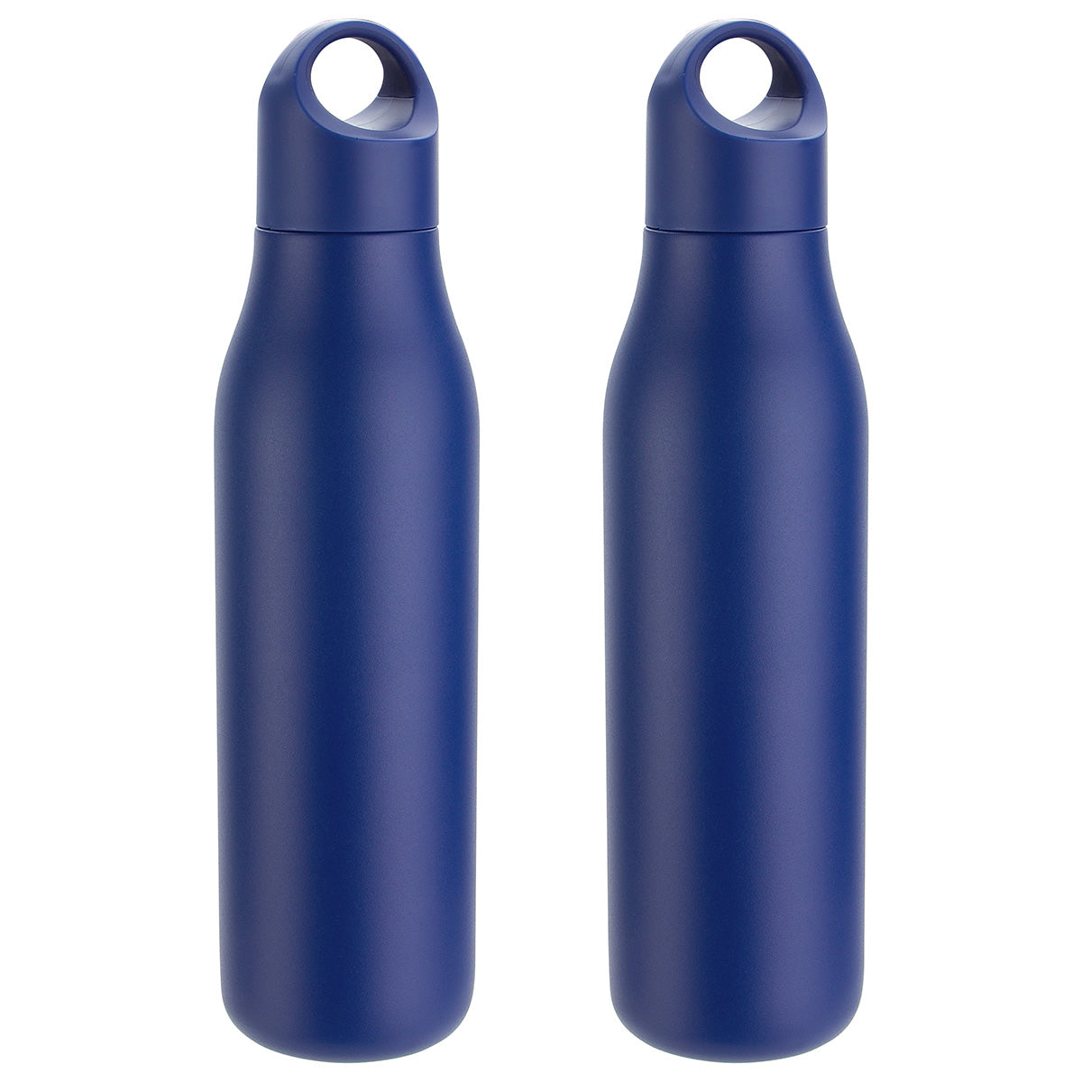 SENSO® Classic 22 oz Vacuum Insulated Stainless Steel Bottle