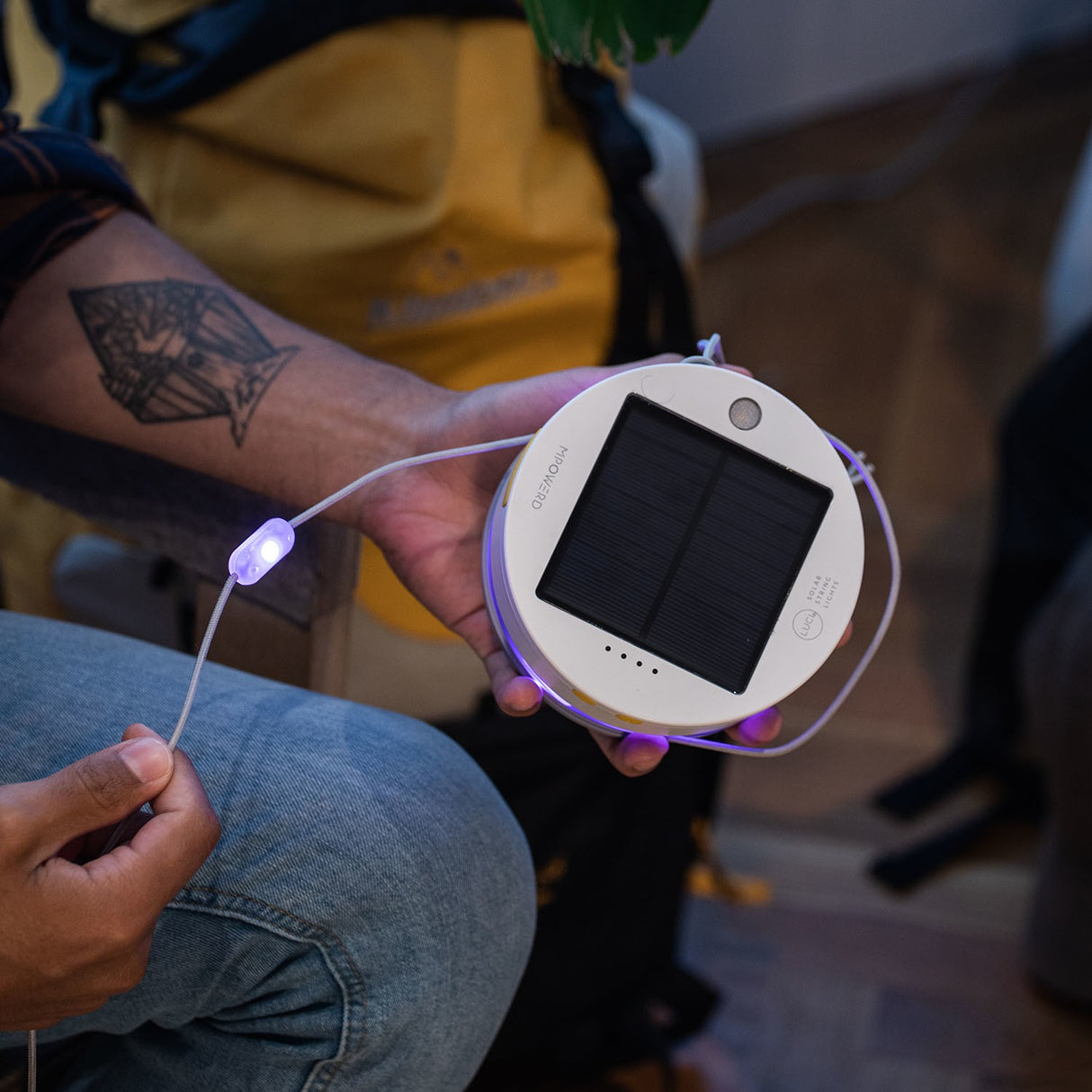 Luci Color Solar String Lights