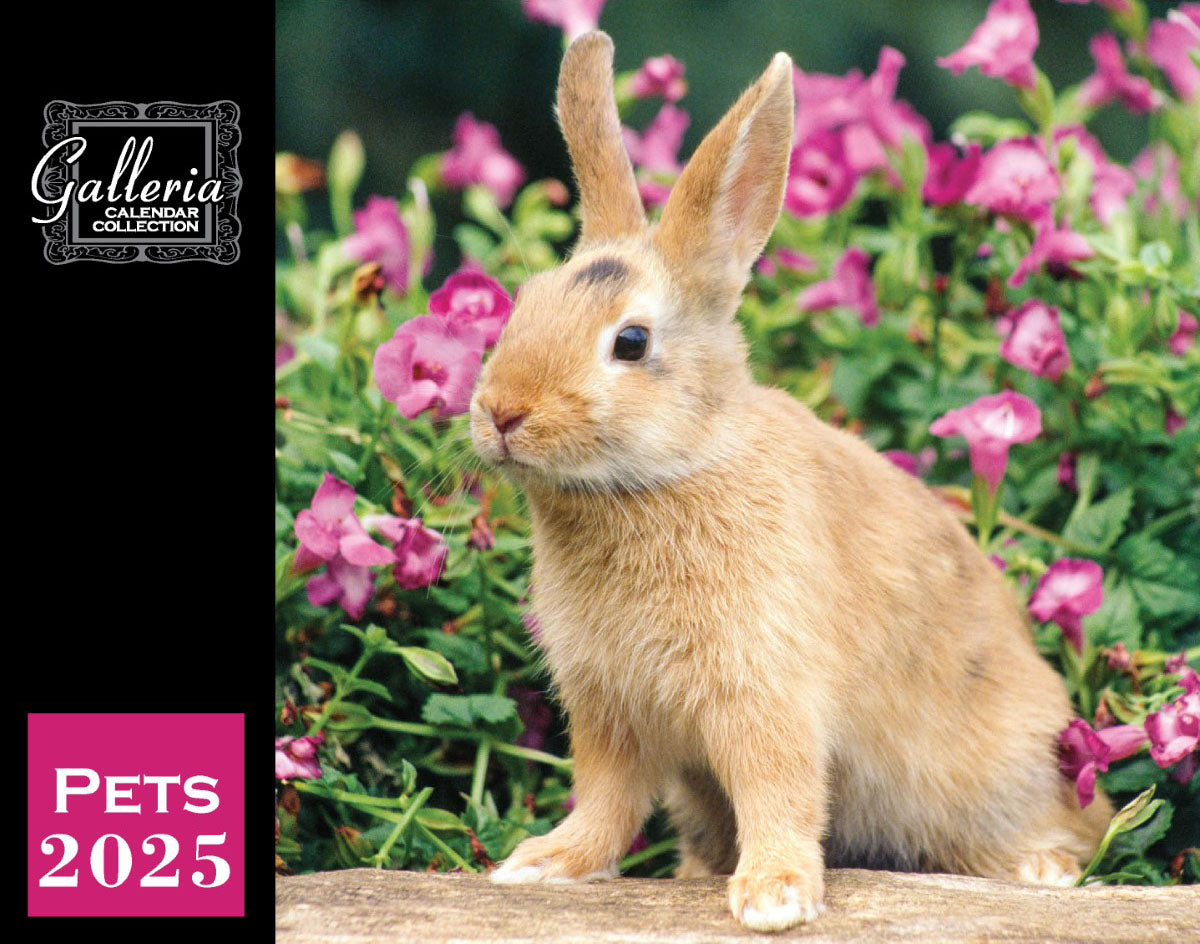 Galleria Wall Calendar 2025 Pets