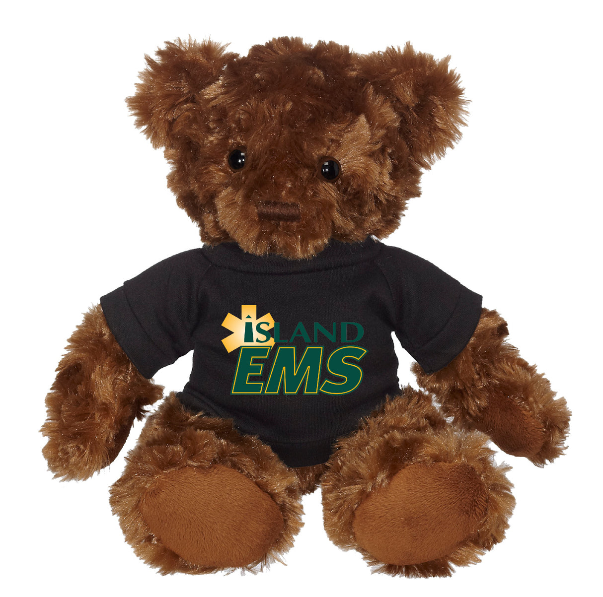 11" Fergus Bear w/T-Shirt
