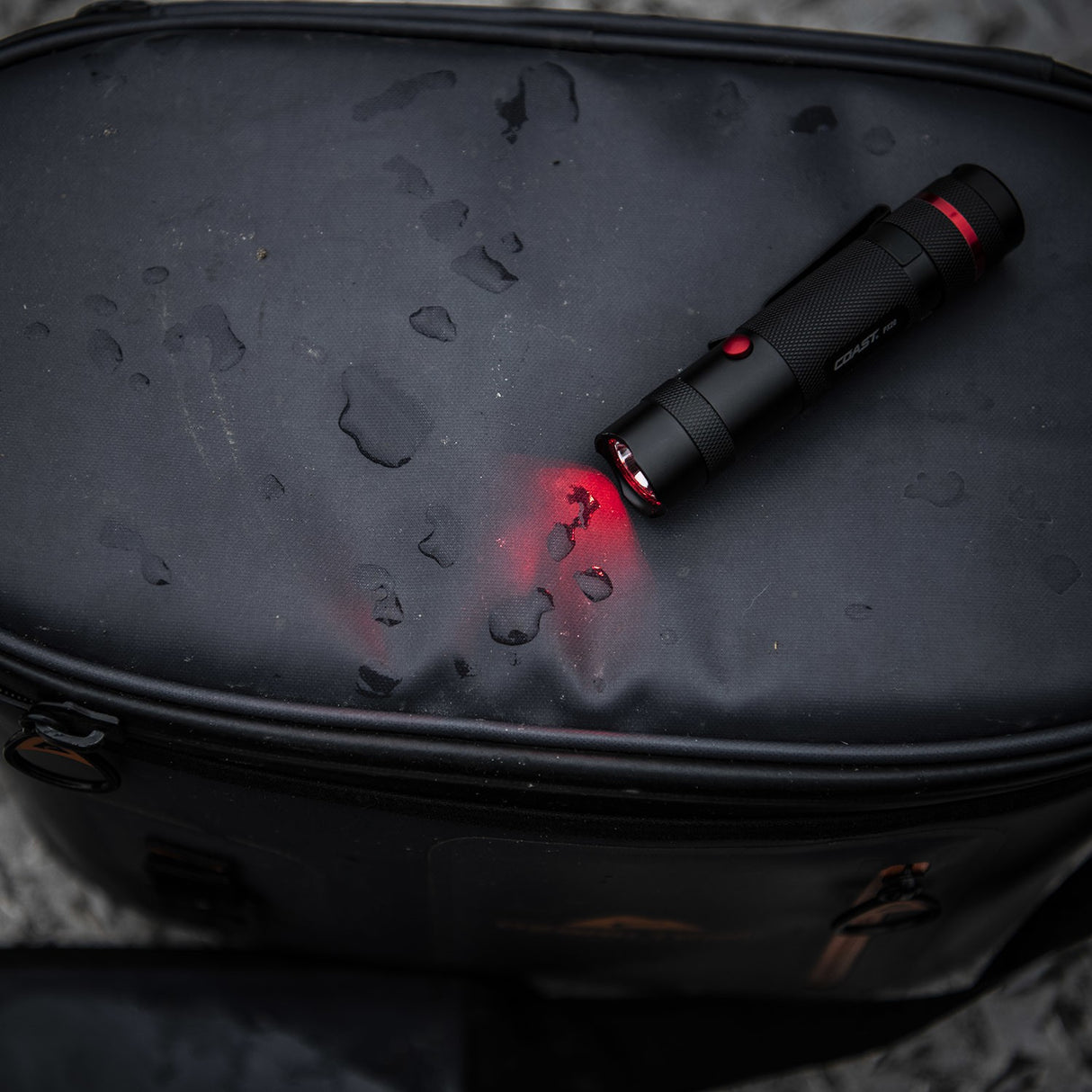 Coast® Dual-Color Light