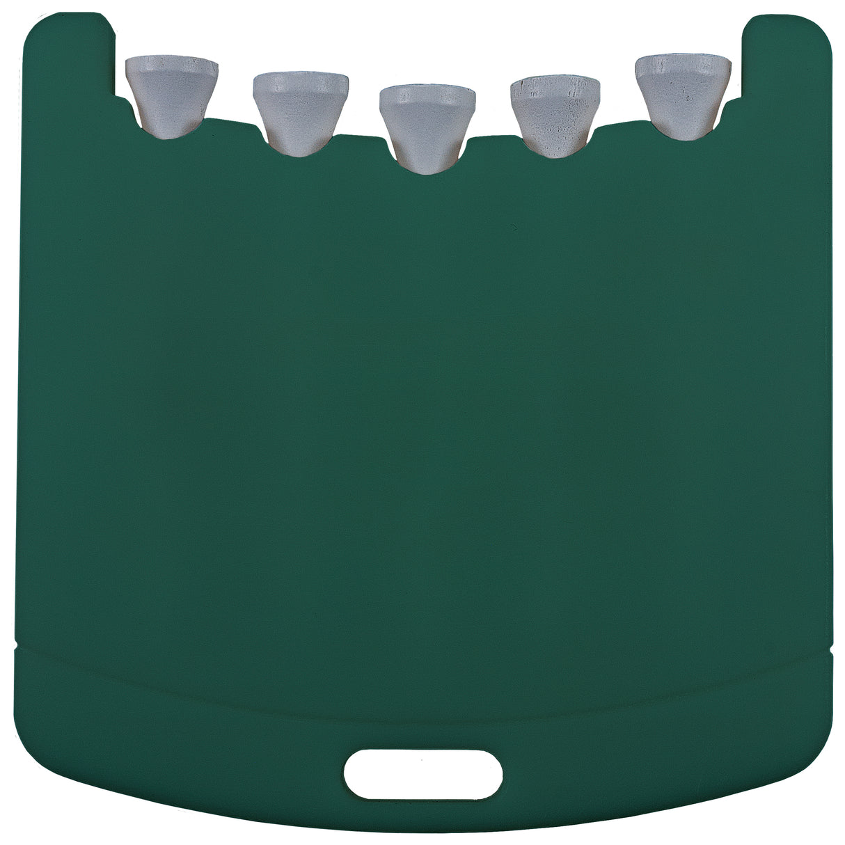 Golf Bag Tag with Tees