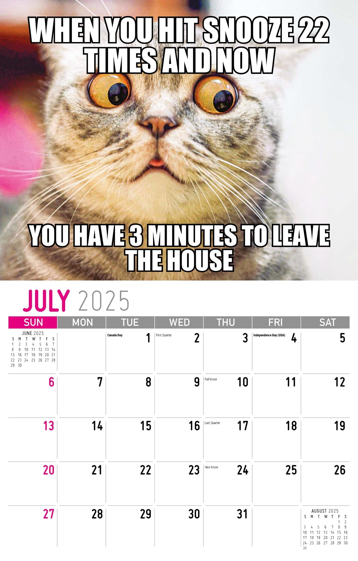 Galleria Wall Calendar 2025 The Memeing Of Life