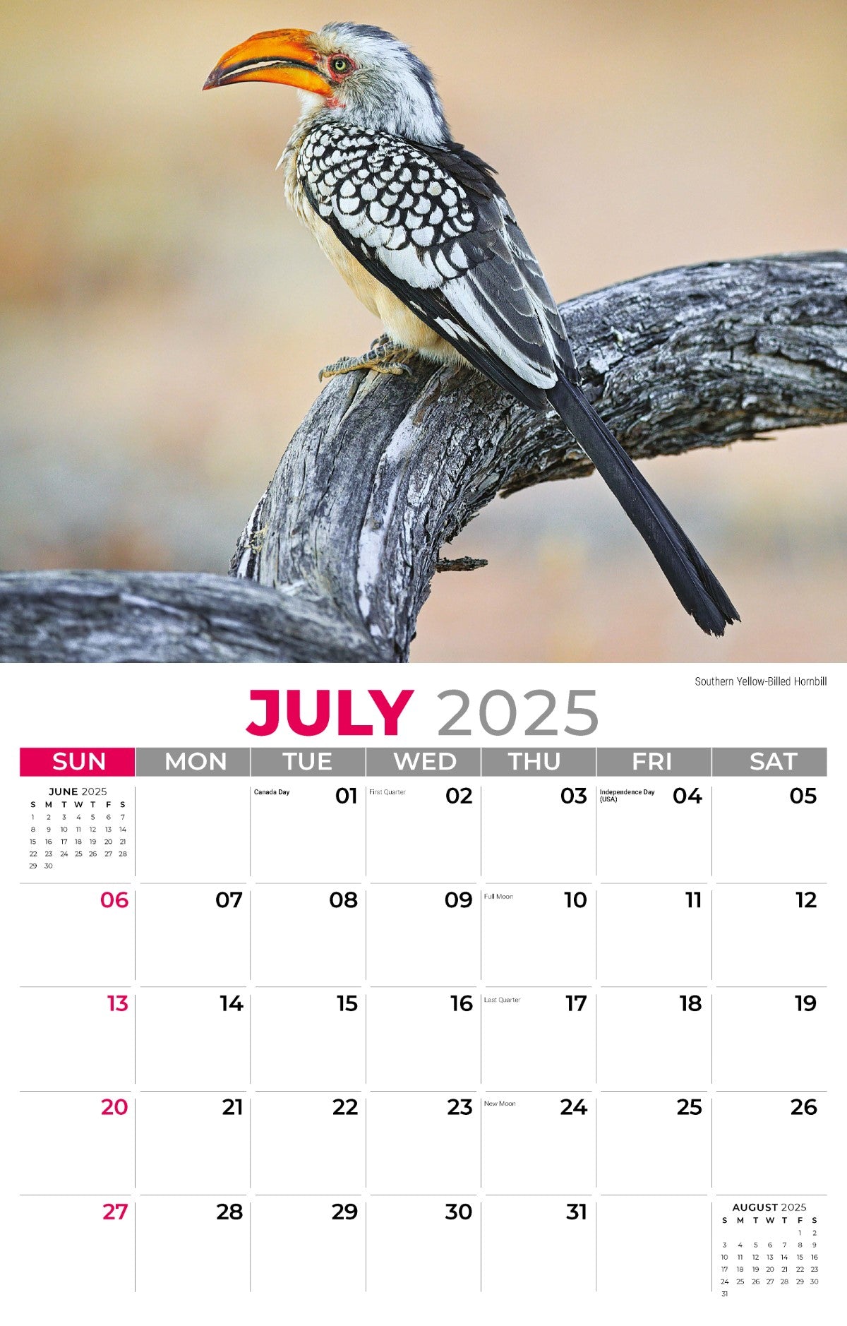 Galleria Wall Calendar 2025 International Wildlife