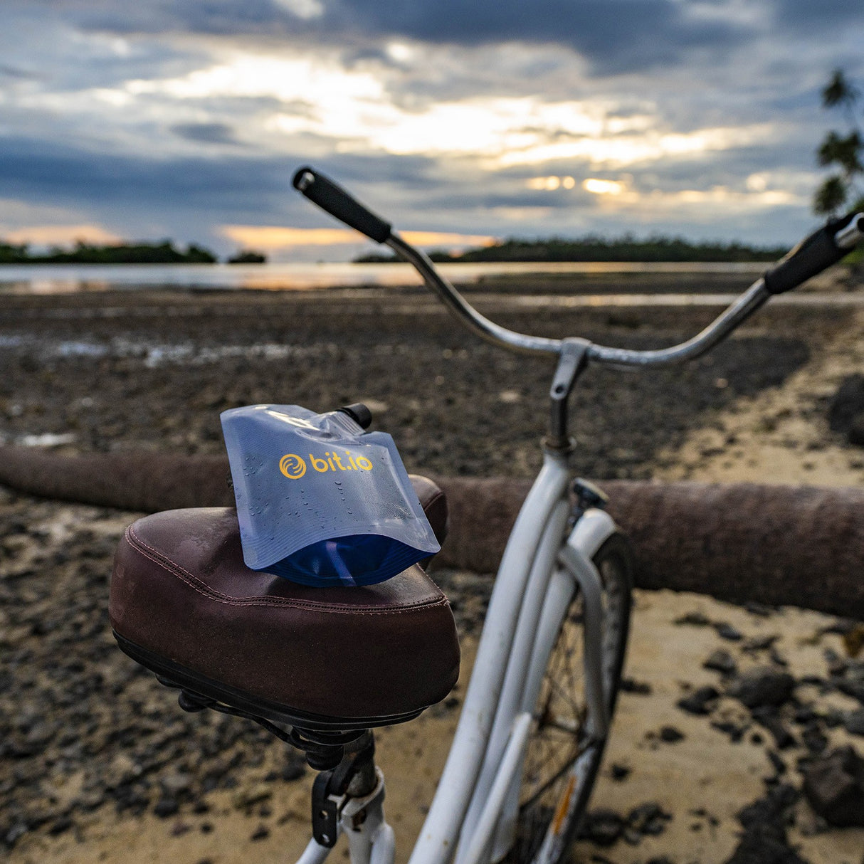 Vapur® 300mL Incognito Flask