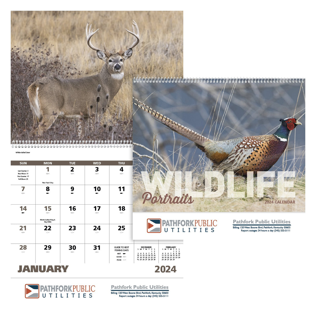 Wildlife Portraits - Spiral
