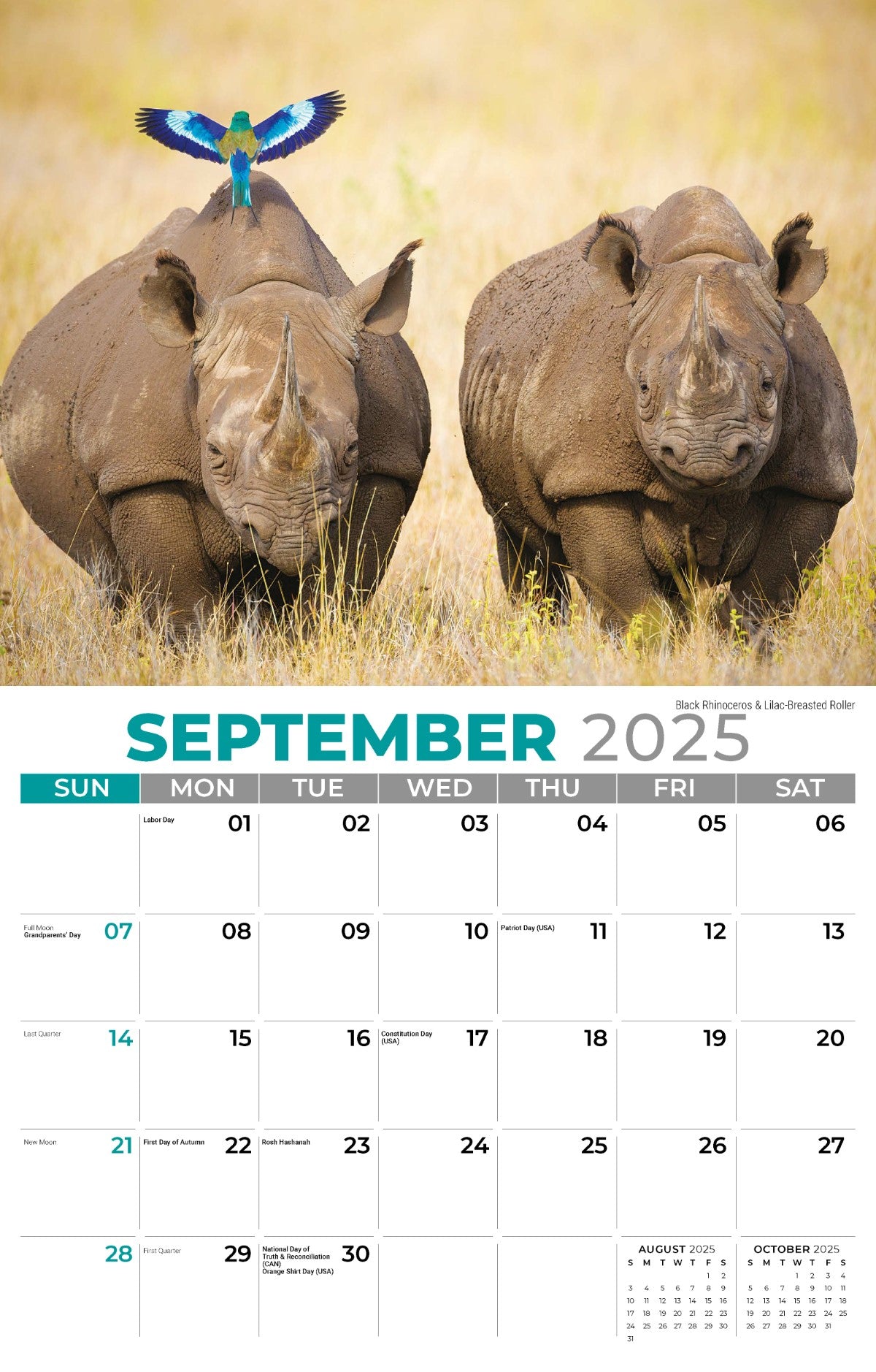 Galleria Wall Calendar 2025 International Wildlife