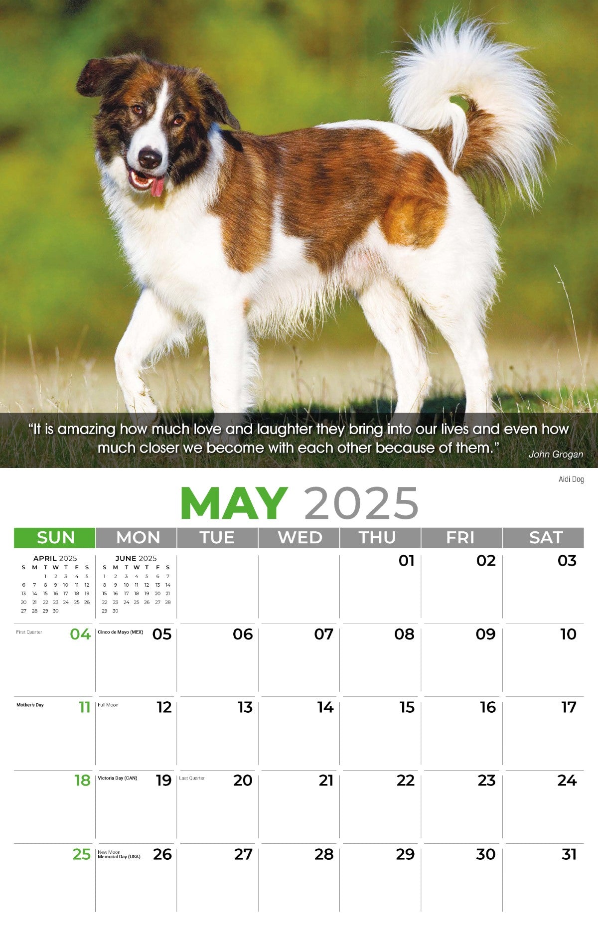 Galleria Wall Calendar 2025 Dogs Calendar